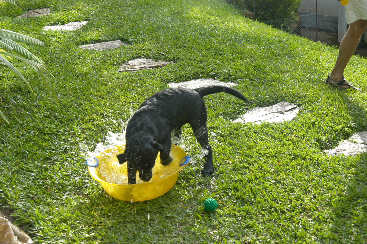 At Zeno’s party, he was the only one to play in the pool...