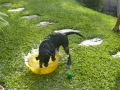At Zeno’s party, he was the only one to play in the pool...